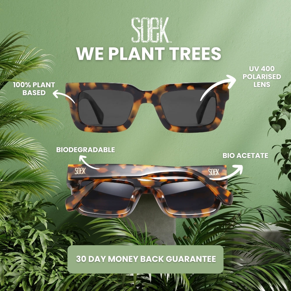 ROVE HONEY TORT l Plastic Free Sunglasses l Black Polarised Lens - Soek Fashion Eyewear Australia