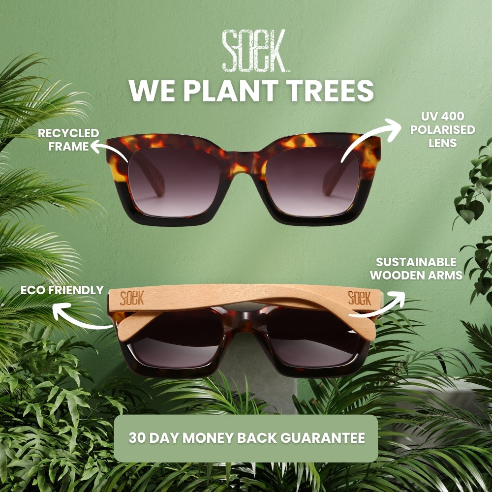 **NEW**  QUEST ROCKY TORT l Sunglasses l Polarised Lens l Walnut Arms